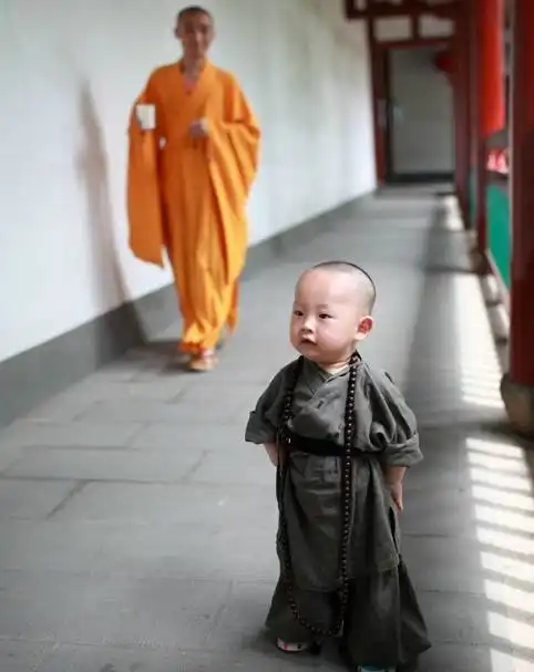 生命仅仅是就是一个瞬间过好它,热爱它,享受它你会懂嘛
