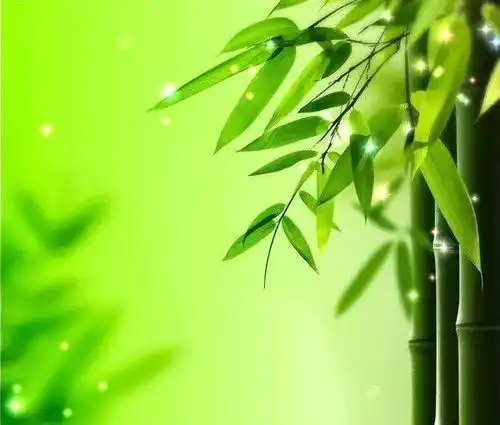 走出学佛的误区你一定要读
