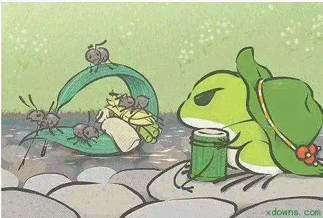 爱上一只流浪的蛙佛系青蛙养成记
