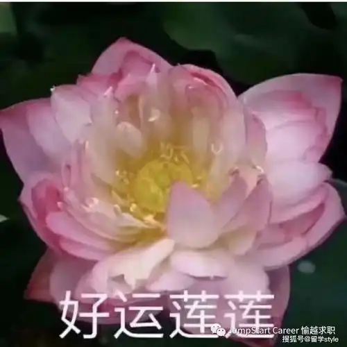 拜托我的工作真不是你们想的那样
