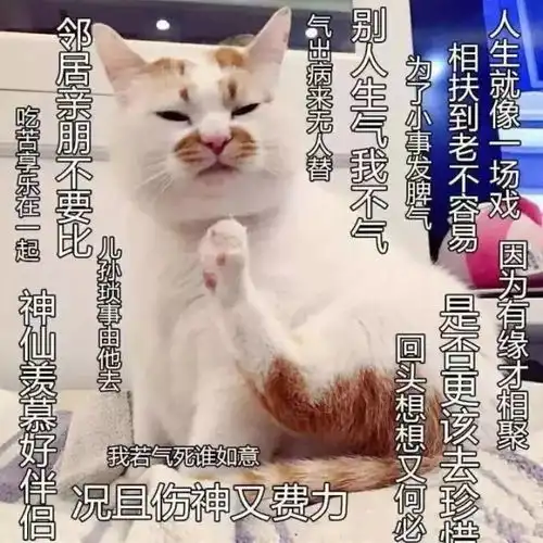 这几天,疯传的佛系到底是啥
