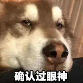 留学生2018流行语佛系赶due戏精final确认过眼神,是gpa没过4.0的人...
