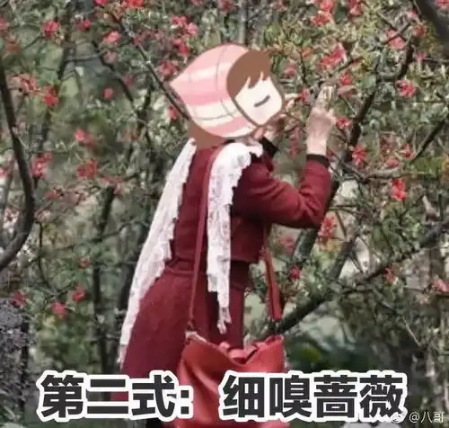 老外模仿中国大妈拍照,中枪了么哈哈哈哈哈哈哈
