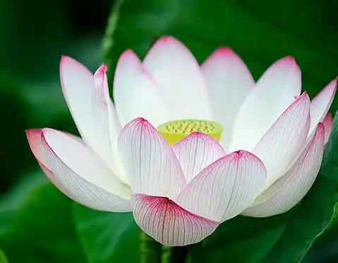 3月6号开始,4属相运势极佳,事事顺利,大发横财,生活一顺百顺
