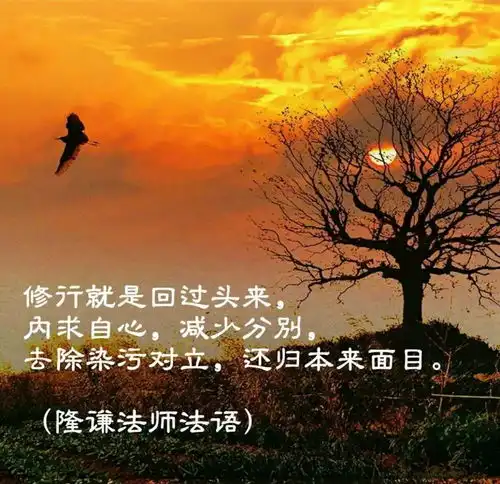 修行就是回过头来
