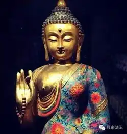 通灵师仙儿视频直播全集通灵师仙儿资料大全yy官方
