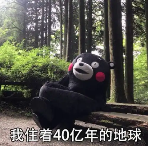 黄灿灿又把脸填成发面馒头了
