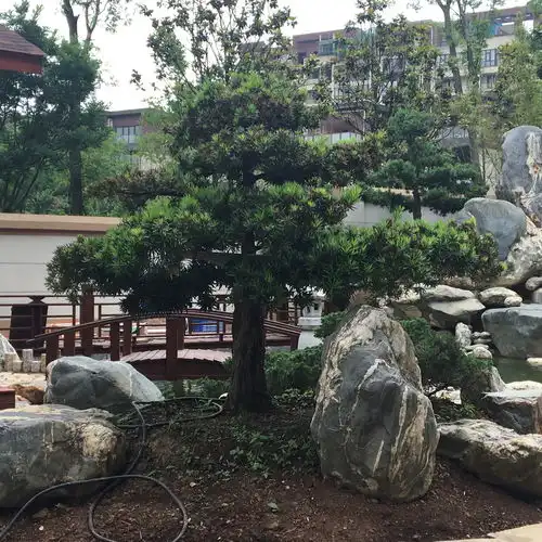 新中式独栋别墅山水园林
