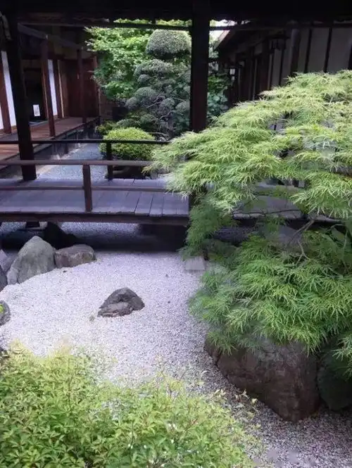 佛系庭院,就是极致空灵
