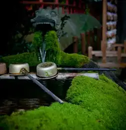 如果,生活有捷径
