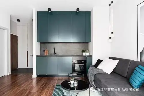 非非猫家居38㎡,这座波兰超小住宅玩出了不一样的北欧风情
