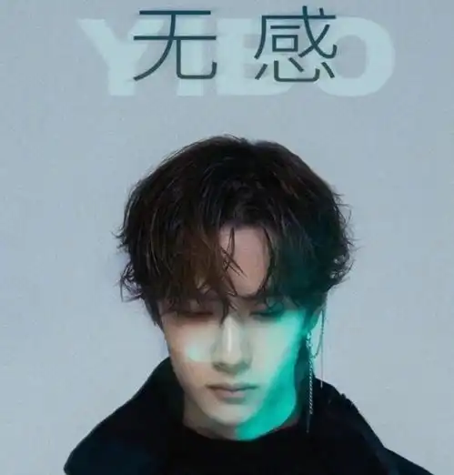 乐华保卫王一博
