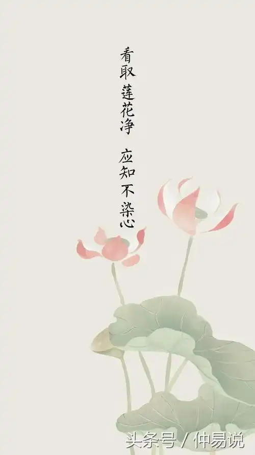 佛系图片欣赏
