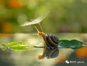 兰州地铁一只蜗牛一路向西,早在几年前到达陈官营,它禁不住回眸一笑,它想不通传说中的兰州地铁
