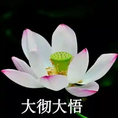 君兮染安度晚年

