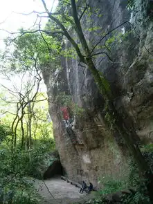 武夷山二日游攻略游山玩水享悠闲
