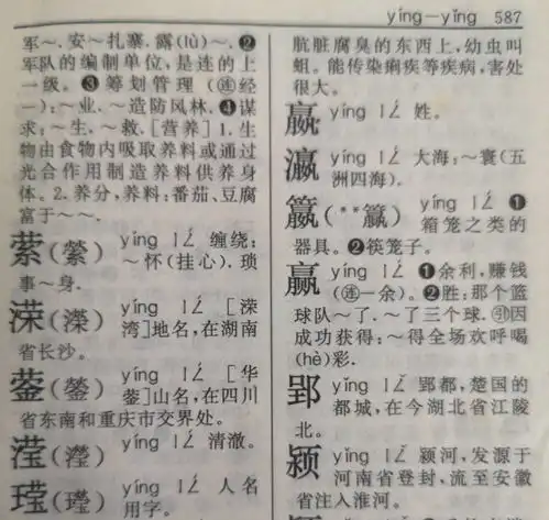 新华字典不收字考证

