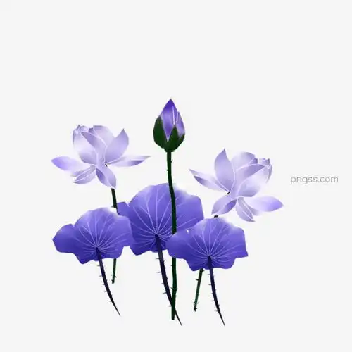 水彩手绘清新紫色荷花古风装饰素材图片大小2000x2000px图片尺寸902.95kb来自png搜索网pngss.com免费免扣png素材下载psdpsd分层素材壁纸手绘手账素材水彩画小清新装饰图案
