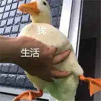 表示对生活绝望的图片微信头像图片大全
