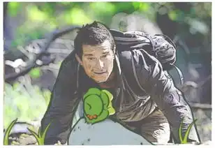 最适合佛系青年玩的游戏,火遍日本后又火爆中国
