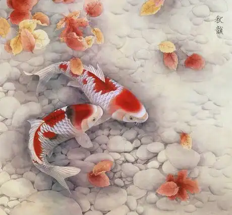 送你锦鲤,好运连连,太美了
