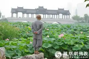 佛教要求清心寡欲单身狗学佛皈依后能结婚吗
