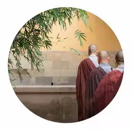 当佛系摄影师遇上佛系青年
