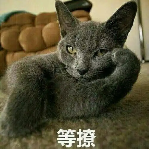 想招一个实习生加入我们
