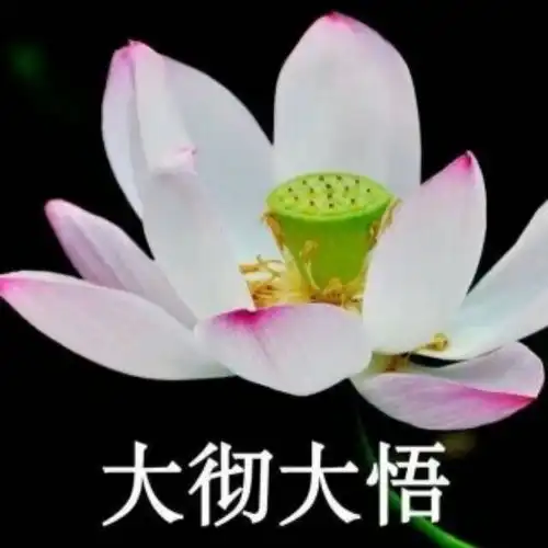 大宝广博阁楼善住秘密陀罗尼咒

