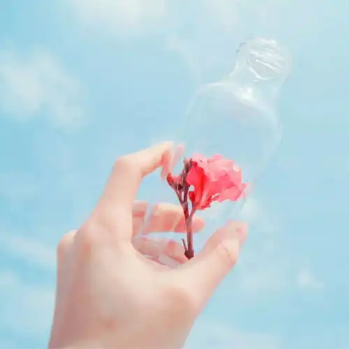 想学拍极简从场景到技法介绍极简摄影的拍摄方法
