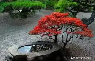 这样的禅意庭院,才是你想过的日子
