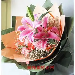 粉色香水百合2枝多粉色香水百合2枝多哪里买粉色香水百合2枝多代表什么意思,鲜花蛋糕连锁
