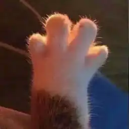 许久不见
