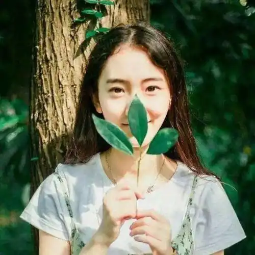 十二生肖运势十二属相,明日吉运
