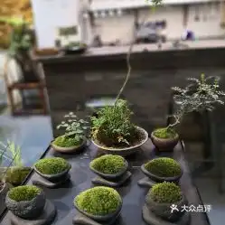 电话,地址,价格,营业时间
