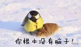 多肉大棚拆迁了,原价十块二十块,统统只要一块钱
