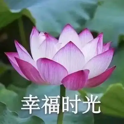 芹菜这样保鲜可以放上一个月学几招保鲜方法,过年再也不怕浪费了
