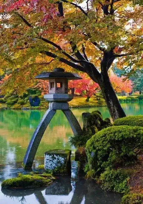 庭院深深蕴禅意
