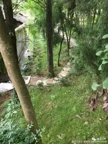 老家老院老房子
