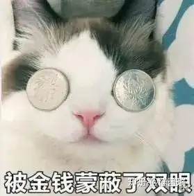 北美摩托车保险指南
