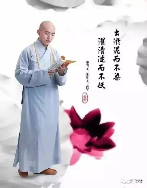 目莲寺短期出家学修班开始报名了
