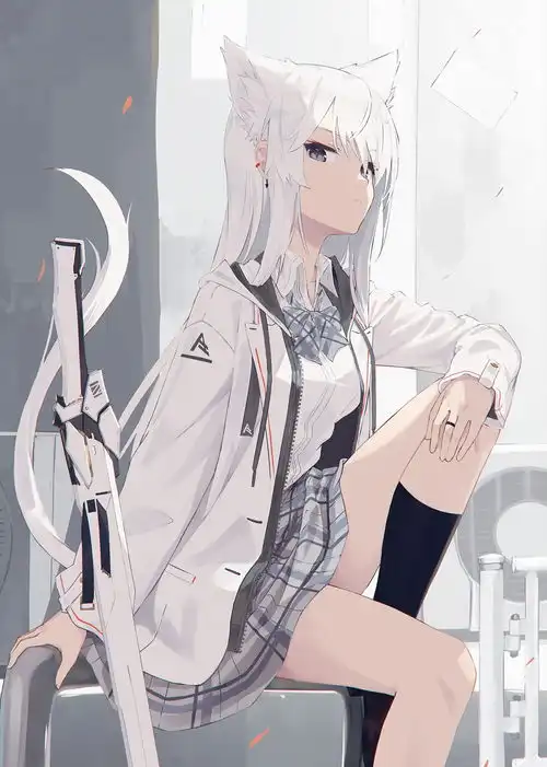 清心寡欲哔哩哔哩
