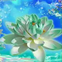 楞严咒心与五大心咒
