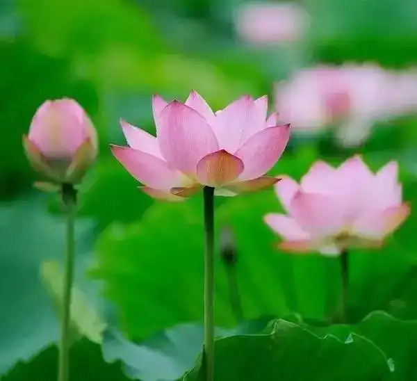 与其埋怨世界,不如改变自己
