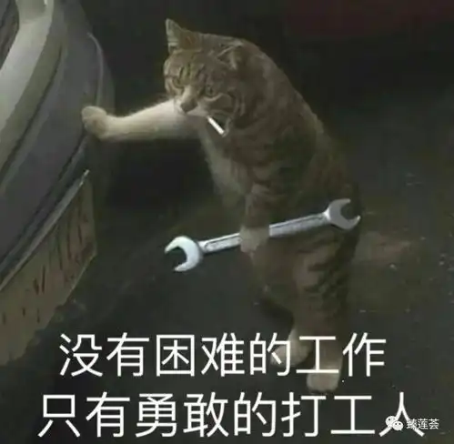 谁还不是打工人
