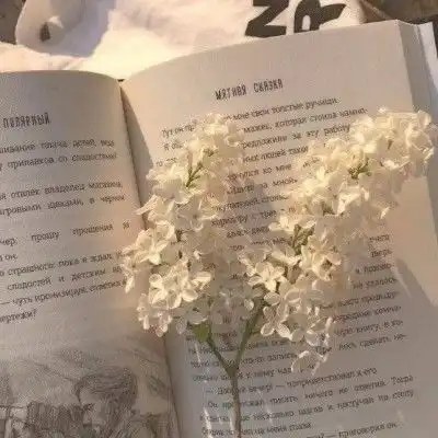 看了就忘不掉的小说台词文案
