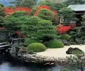 庭院造景,景观造型树的作用与美观
