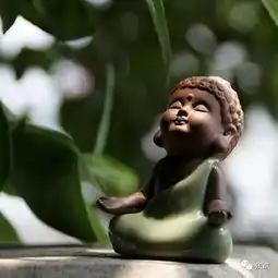 少年,你是真佛系还是假佛系
