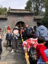 今天洛阳发生的一幕,想不火都难......
