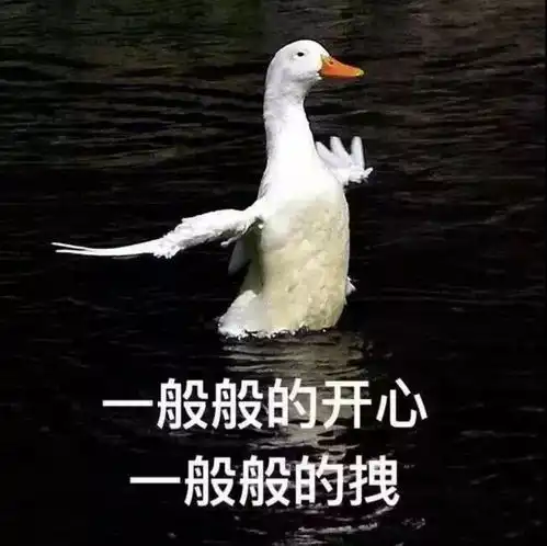flag头像丨不瘦十斤,不换头像
